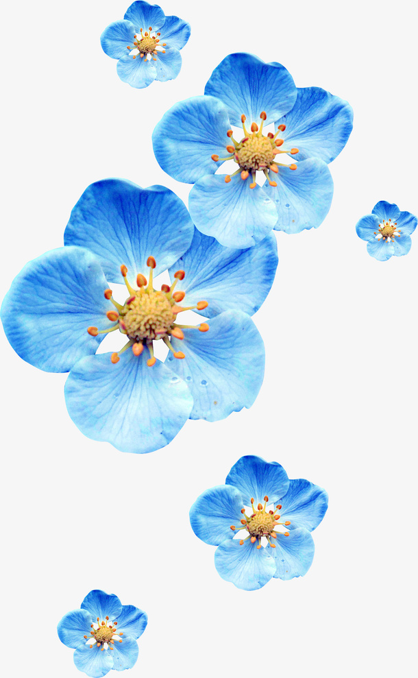 花卉免抠