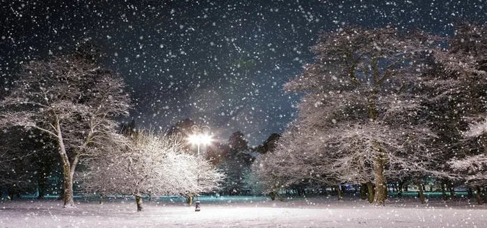 夜晚公园雪景高清