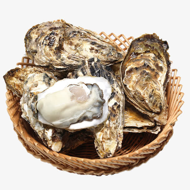 自家养殖生蚝免抠