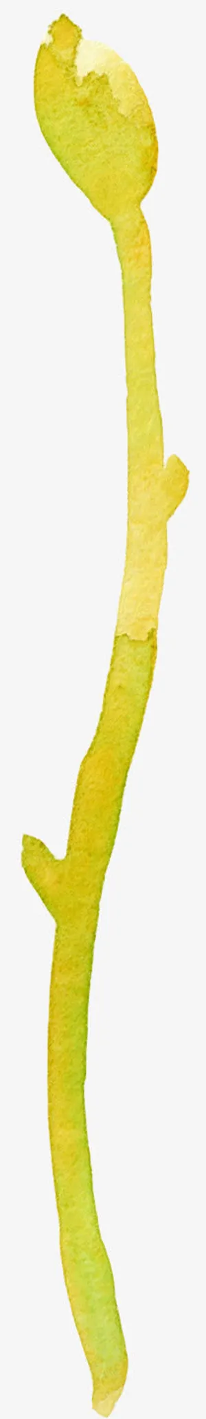 透明树叶树叶飘落素材免抠