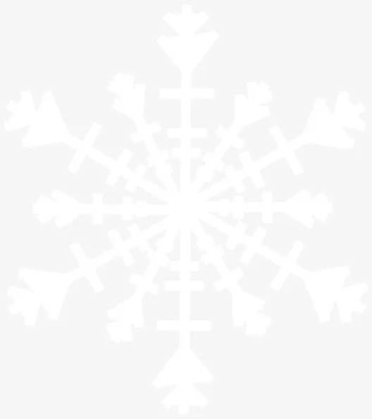 一片白色的雪花几何对称图形免抠