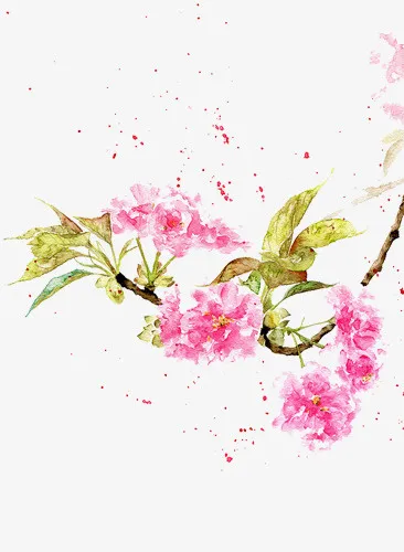 水彩粉色花卉元素免抠
