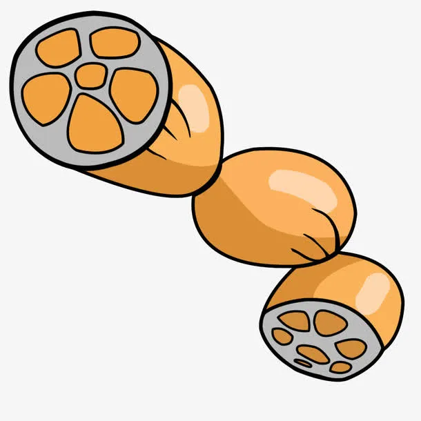 手绘莲藕免抠