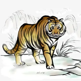 手绘老虎免抠