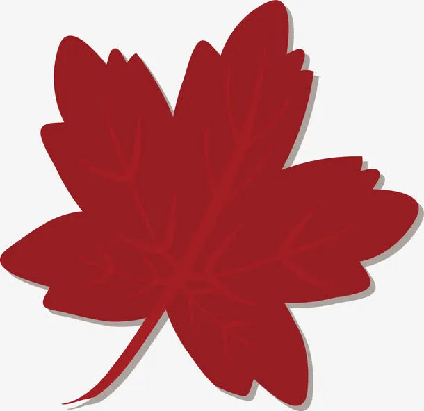 一片红色枫叶免抠