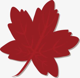 一片红色枫叶免抠
