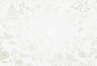 欧式花纹背景元素