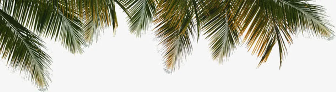 海南沙滩别墅海报图片免抠