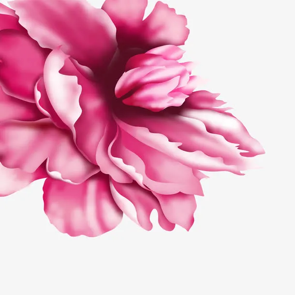 花朵免抠