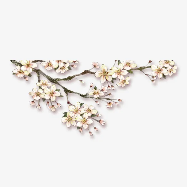 白色花瓣节日元素免抠