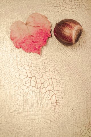 红色枫叶复古风情免抠