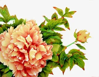 手绘粉黄色花朵绿叶装饰免抠