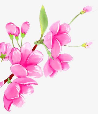 手绘装饰粉色先换素材免抠