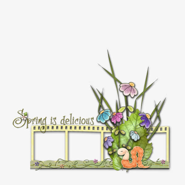 电影花艺相框免抠