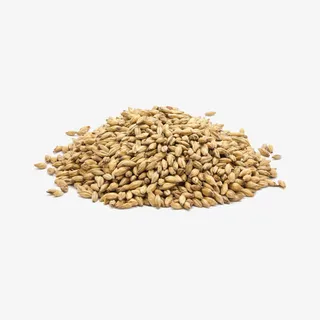 麦芽颗粒饱满免抠