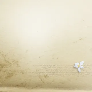 清新复古小花牛皮纸背景素材高清 清新复古小花牛皮纸背景素材高清