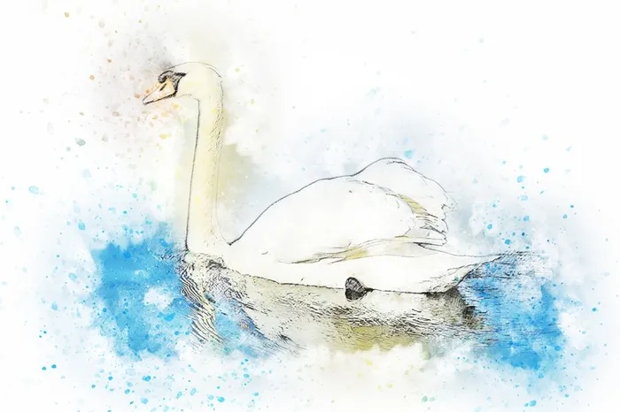插画水彩天鹅高清