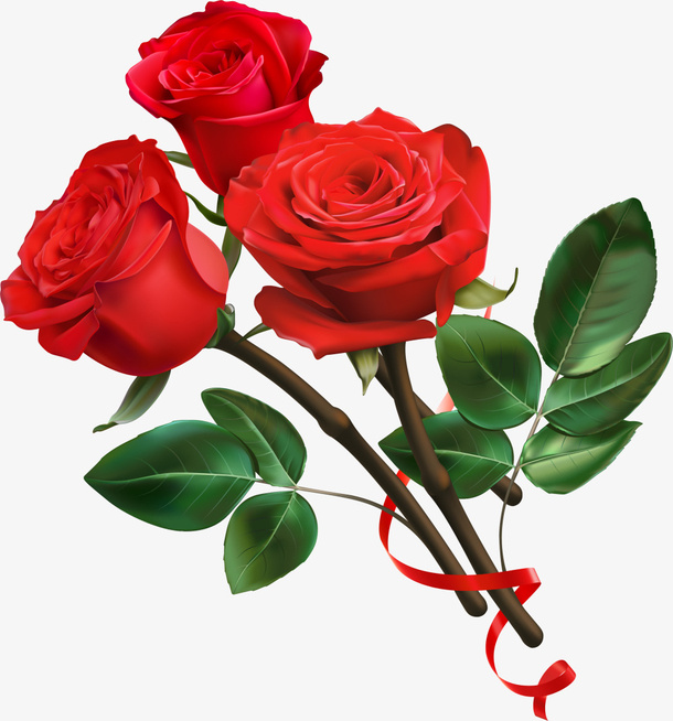 红色美丽玫瑰花枝免抠