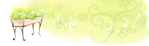 花瓣背景图