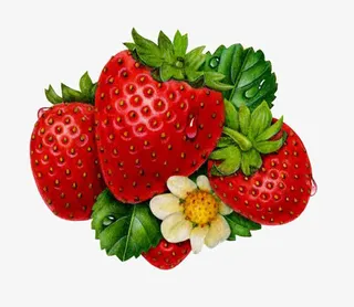 草莓免抠