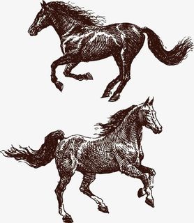 骏马免抠