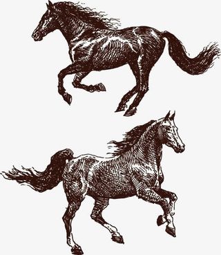 骏马免抠