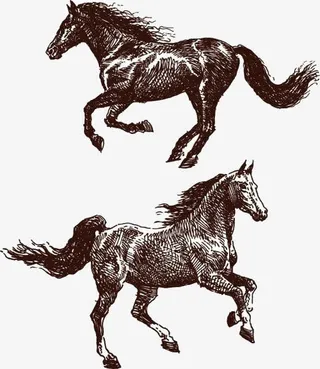 骏马免抠