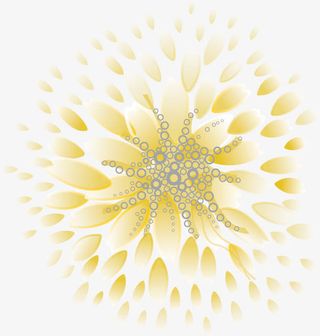 矢量黄色透明菊花素材免抠