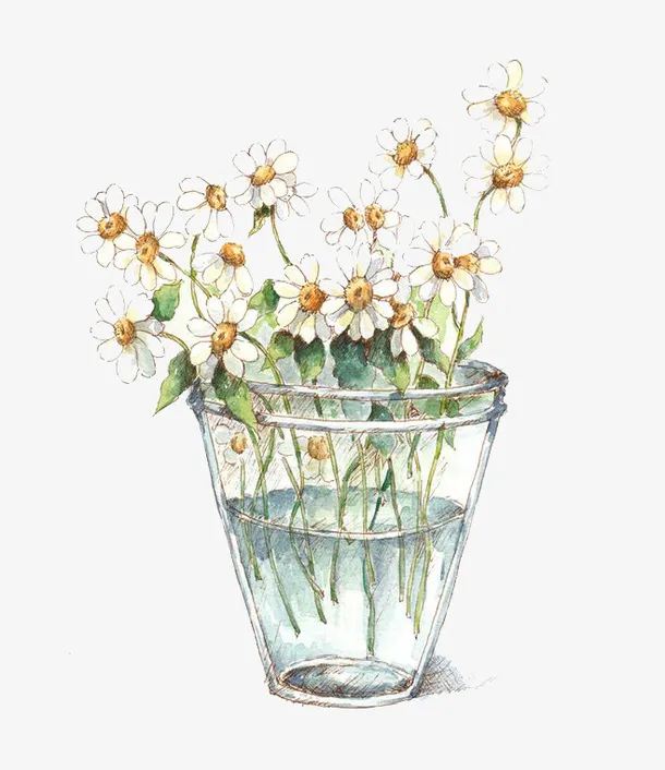 水彩鲜花免抠