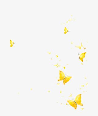 飞舞的蝴蝶免抠
