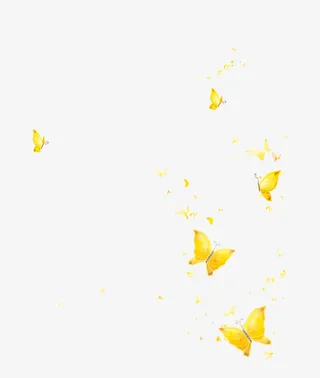 飞舞的蝴蝶免抠