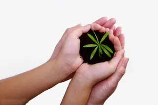 母女手心的绿植免抠