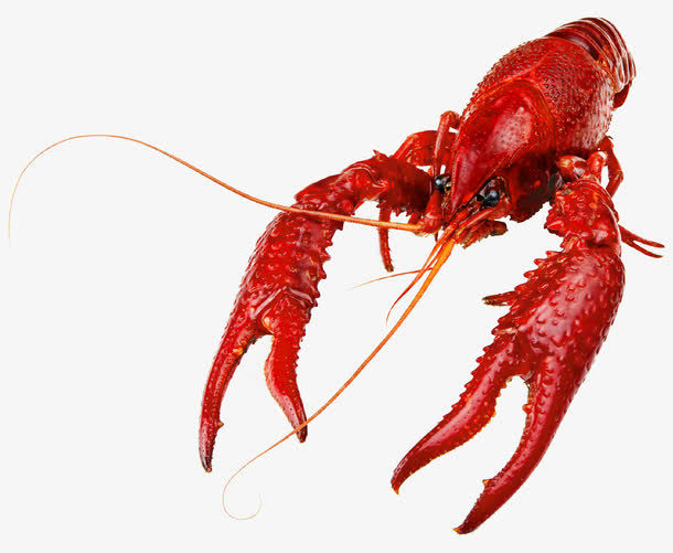 小龙虾免抠