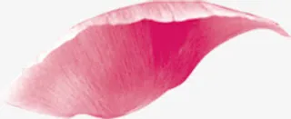 春天粉色玫瑰花瓣装饰免抠