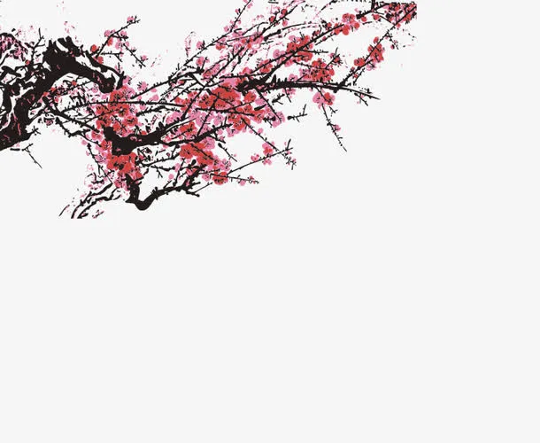 红色寒梅图层免抠