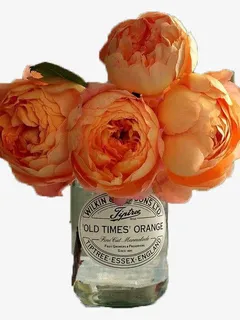 盛开的花朵免抠