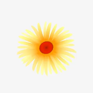 菊花花瓣免抠
