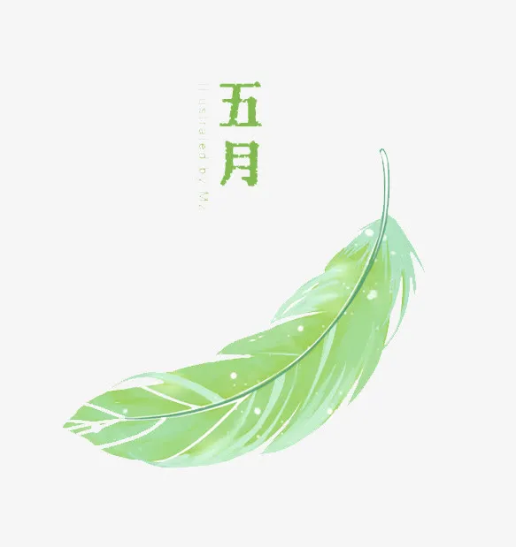五月绿色的羽毛免抠