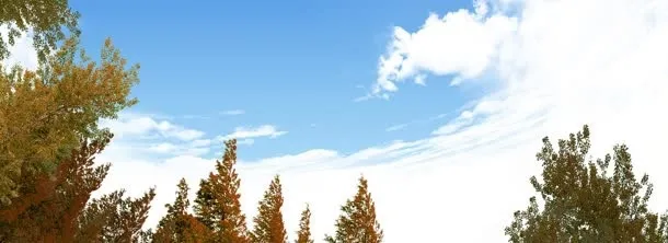创意自然简约背景