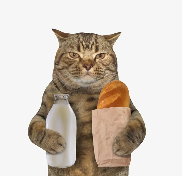 宠物小猫拿着一瓶牛奶和一袋面包免抠