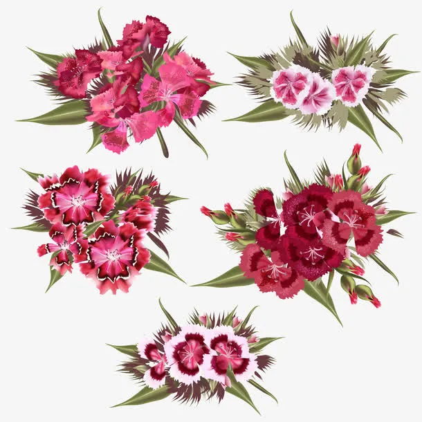 唯美花朵植物绘画矢量素材免抠