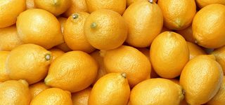 柠檬背景图高清