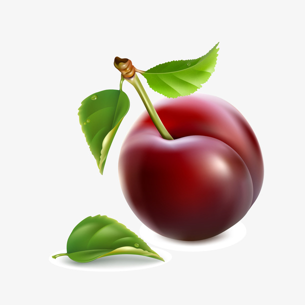 手绘红色李子水果免抠