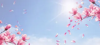 樱花节阳光景色蓝天阳光蓝banner高清