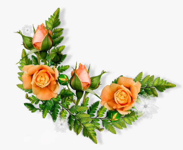 花和叶子免抠