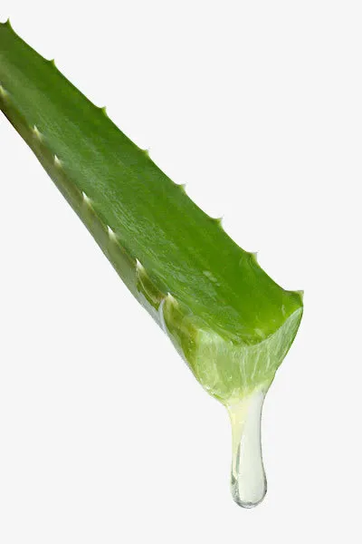 植物免抠