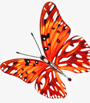 春天红色光效蝴蝶装饰免抠装饰动物元素