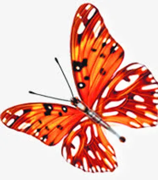 春天红色光效蝴蝶装饰免抠装饰动物元素