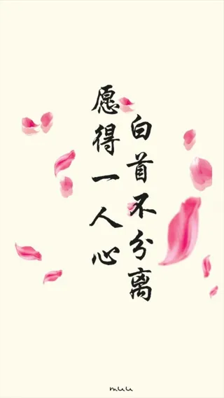 花瓣简约文字H5背景高清