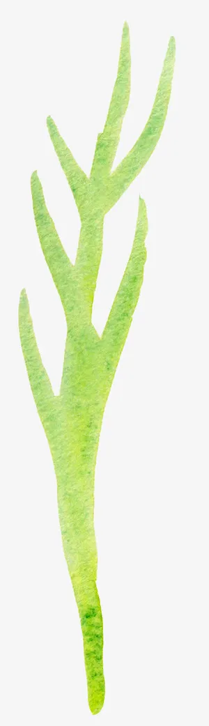 手绘水彩花装饰元素免抠